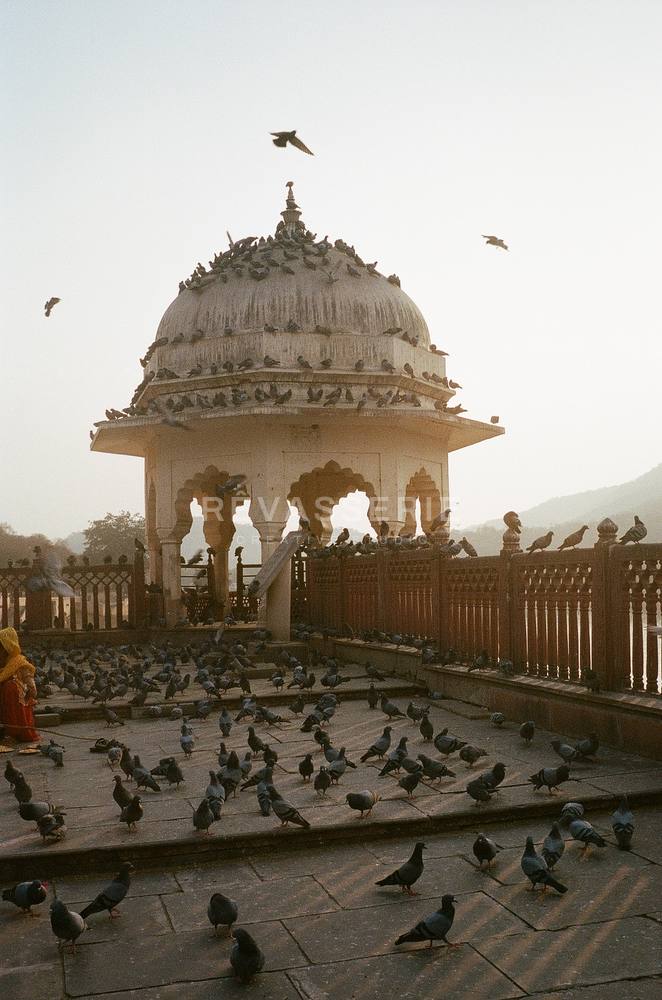 first light in jaipur