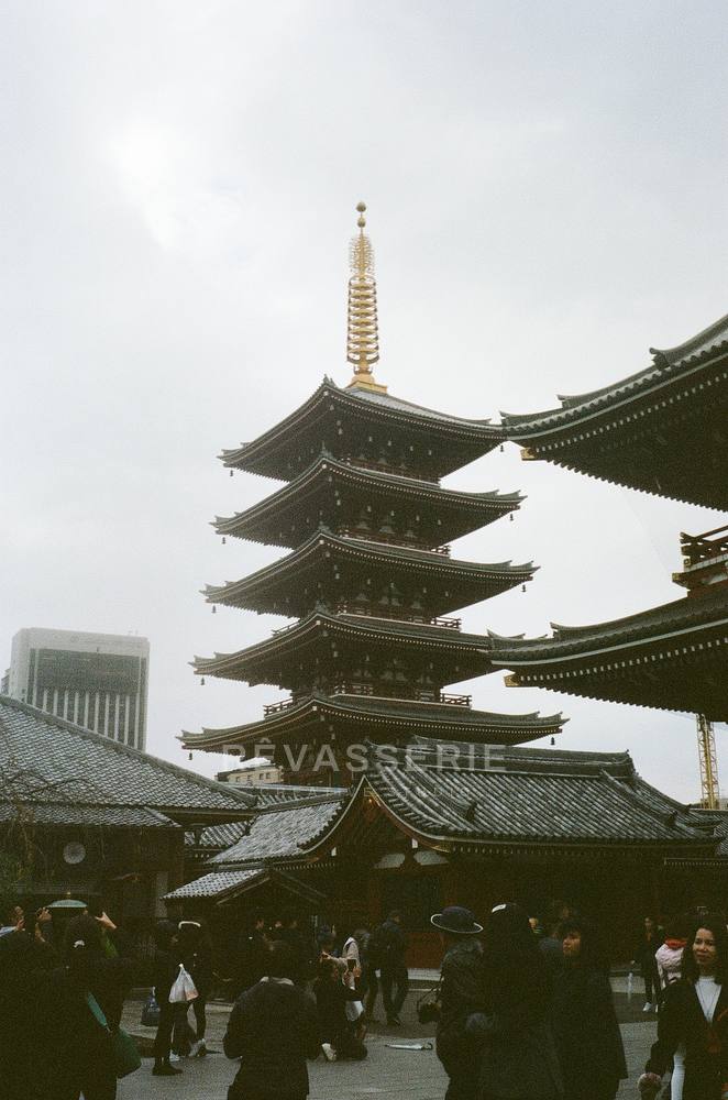 senso-ji temple pagoda in asakusa tokyo, 35mm film photography on kodak portra 400